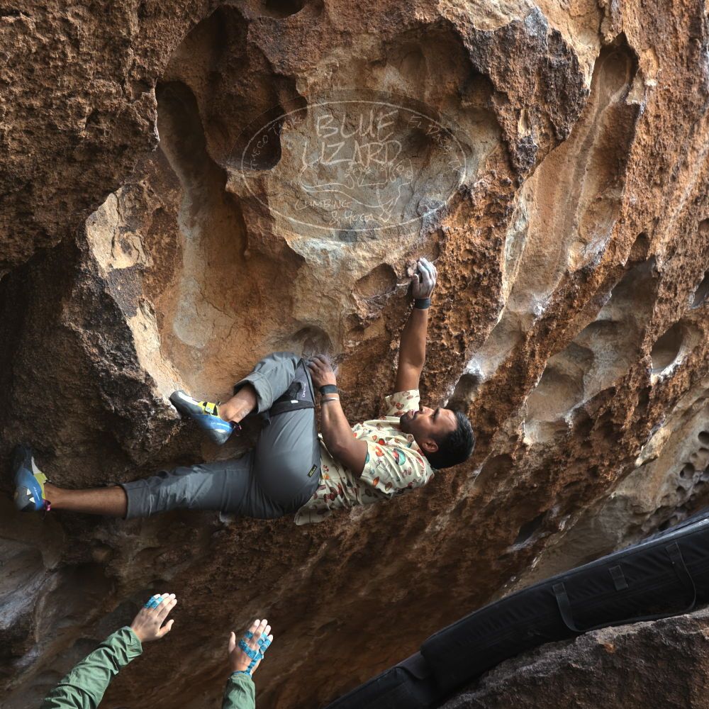 

Filename: SRM_20250222_1407000.jpg
Aperture: f/5.6
Shutter Speed: 1/400
Body: Canon EOS R6
Lens: Canon EF 16-35mm f/2.8 L