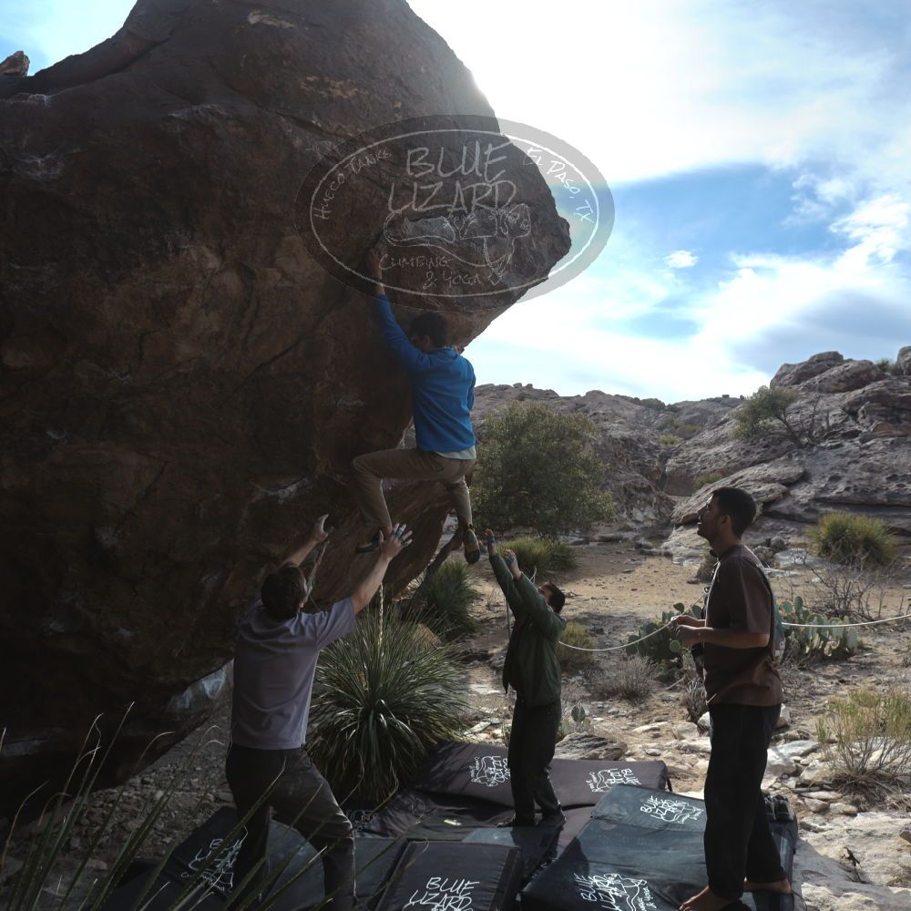 

Filename: SRM_20250222_1527250.jpg
Aperture: f/5.6
Shutter Speed: 1/400
Body: Canon EOS R6
Lens: Canon EF 16-35mm f/2.8 L