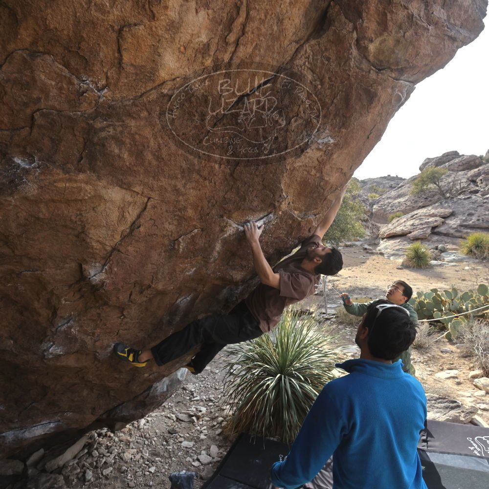 

Filename: SRM_20250222_1532250.jpg
Aperture: f/7.1
Shutter Speed: 1/400
Body: Canon EOS R6
Lens: Canon EF 16-35mm f/2.8 L