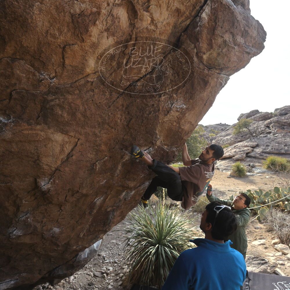 

Filename: SRM_20250222_1532350.jpg
Aperture: f/7.1
Shutter Speed: 1/400
Body: Canon EOS R6
Lens: Canon EF 16-35mm f/2.8 L