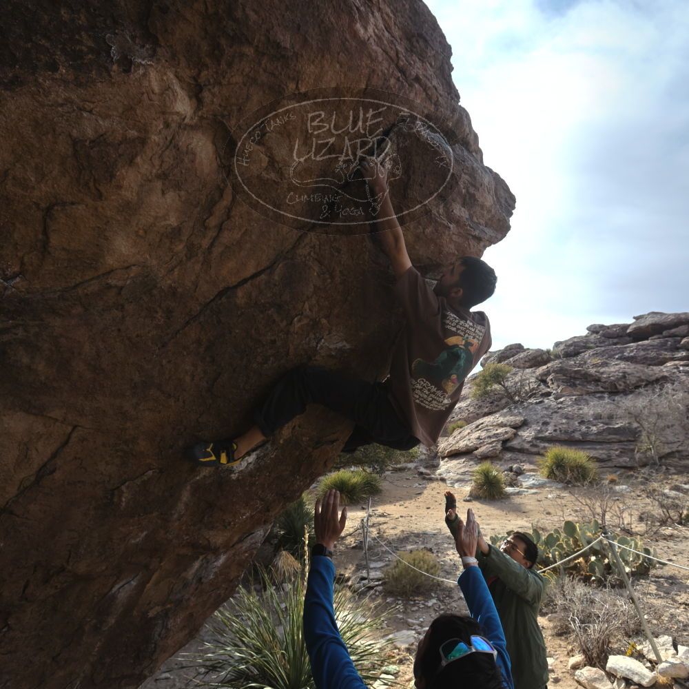 

Filename: SRM_20250222_1532590.jpg
Aperture: f/7.1
Shutter Speed: 1/400
Body: Canon EOS R6
Lens: Canon EF 16-35mm f/2.8 L