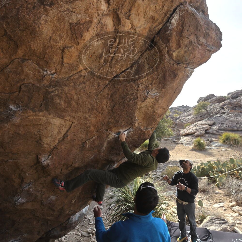 

Filename: SRM_20250222_1535490.jpg
Aperture: f/7.1
Shutter Speed: 1/400
Body: Canon EOS R6
Lens: Canon EF 16-35mm f/2.8 L