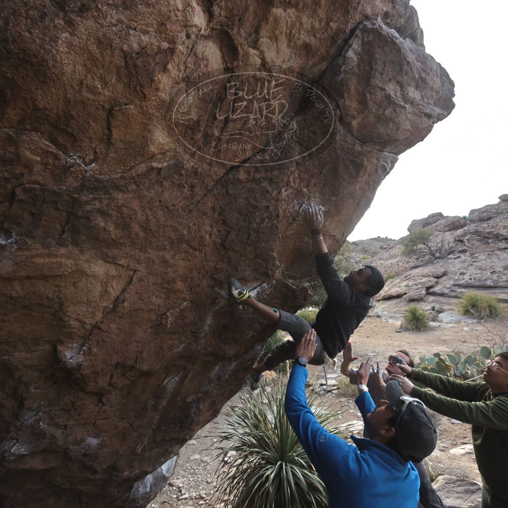 

Filename: SRM_20250222_1545000.jpg
Aperture: f/7.1
Shutter Speed: 1/400
Body: Canon EOS R6
Lens: Canon EF 16-35mm f/2.8 L