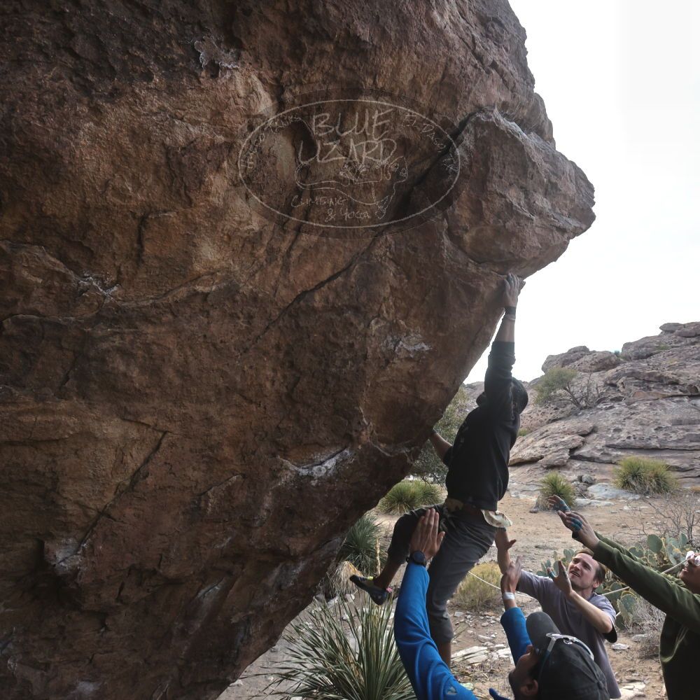 

Filename: SRM_20250222_1545060.jpg
Aperture: f/7.1
Shutter Speed: 1/400
Body: Canon EOS R6
Lens: Canon EF 16-35mm f/2.8 L