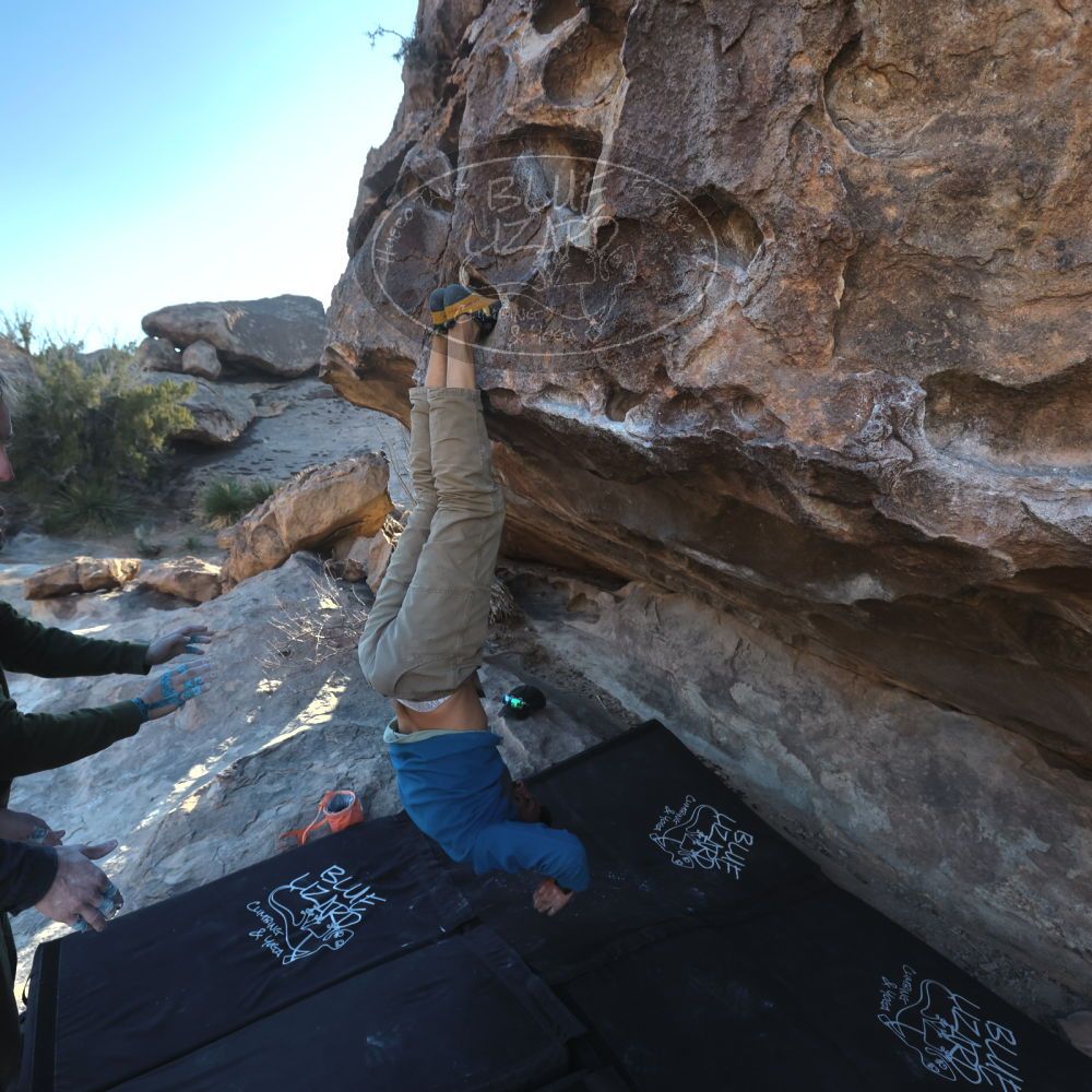 

Filename: SRM_20250222_1635250.jpg
Aperture: f/5.6
Shutter Speed: 1/400
Body: Canon EOS R6
Lens: Canon EF 16-35mm f/2.8 L