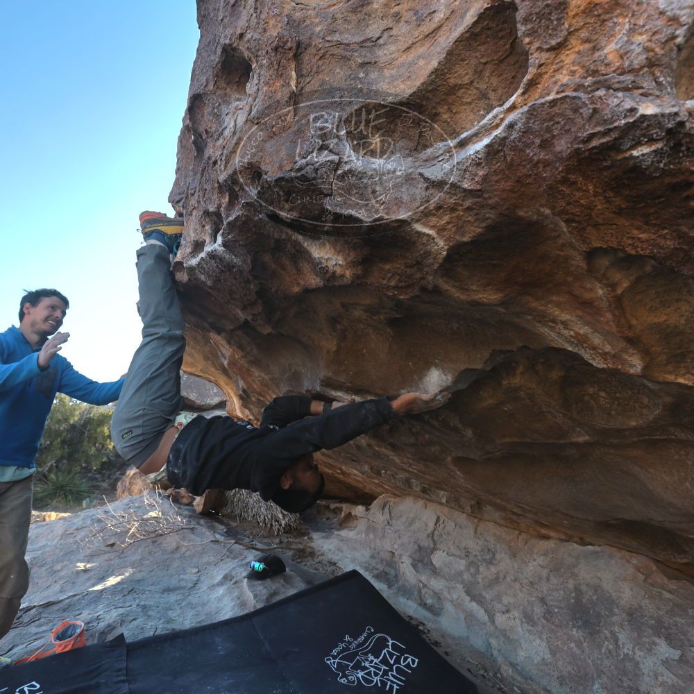 

Filename: SRM_20250222_1638280.jpg
Aperture: f/5.6
Shutter Speed: 1/400
Body: Canon EOS R6
Lens: Canon EF 16-35mm f/2.8 L