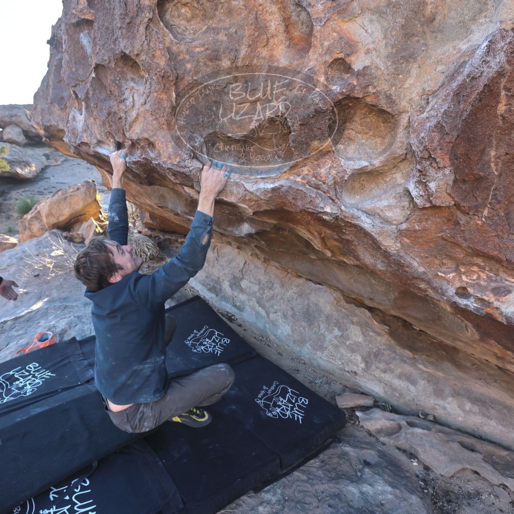 

Filename: SRM_20250222_1641070.jpg
Aperture: f/5.6
Shutter Speed: 1/400
Body: Canon EOS R6
Lens: Canon EF 16-35mm f/2.8 L