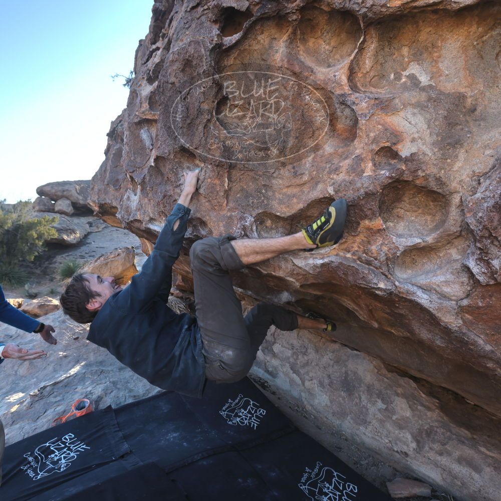 

Filename: SRM_20250222_1641100.jpg
Aperture: f/5.6
Shutter Speed: 1/400
Body: Canon EOS R6
Lens: Canon EF 16-35mm f/2.8 L