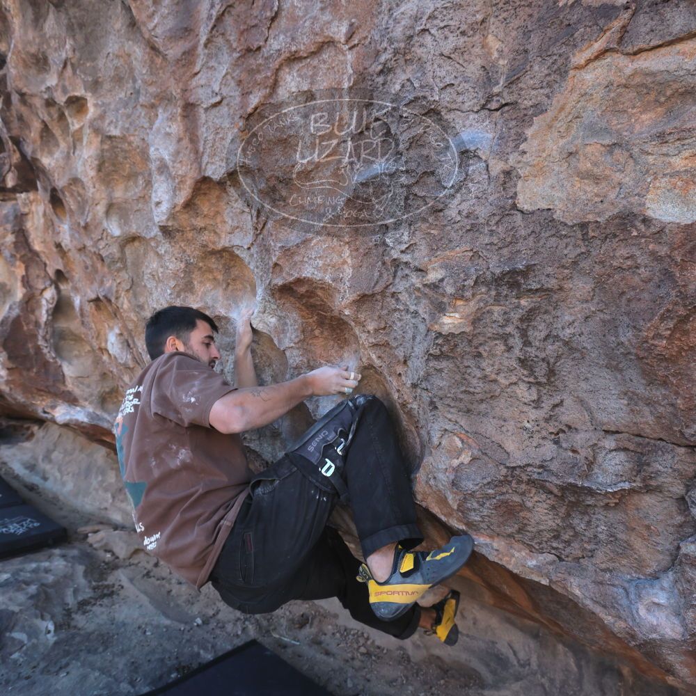 

Filename: SRM_20250222_1641390.jpg
Aperture: f/5.6
Shutter Speed: 1/400
Body: Canon EOS R6
Lens: Canon EF 16-35mm f/2.8 L