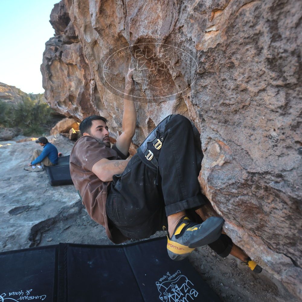 

Filename: SRM_20250222_1651440.jpg
Aperture: f/5.6
Shutter Speed: 1/400
Body: Canon EOS R6
Lens: Canon EF 16-35mm f/2.8 L