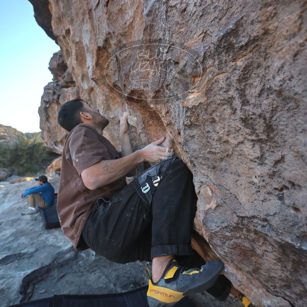 

Filename: SRM_20250222_1651480.jpg
Aperture: f/5.6
Shutter Speed: 1/400
Body: Canon EOS R6
Lens: Canon EF 16-35mm f/2.8 L