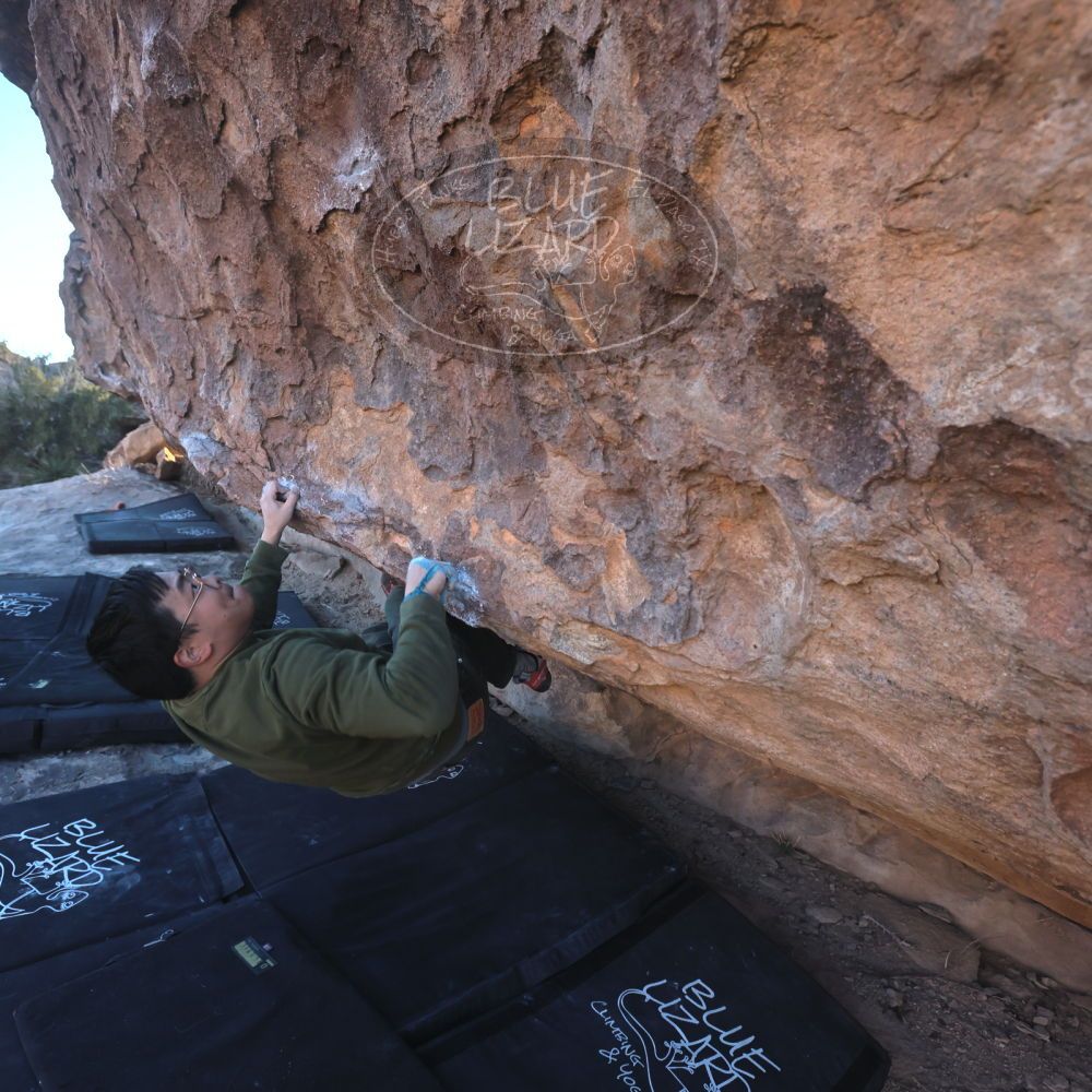 

Filename: SRM_20250222_1653160.jpg
Aperture: f/5.6
Shutter Speed: 1/400
Body: Canon EOS R6
Lens: Canon EF 16-35mm f/2.8 L