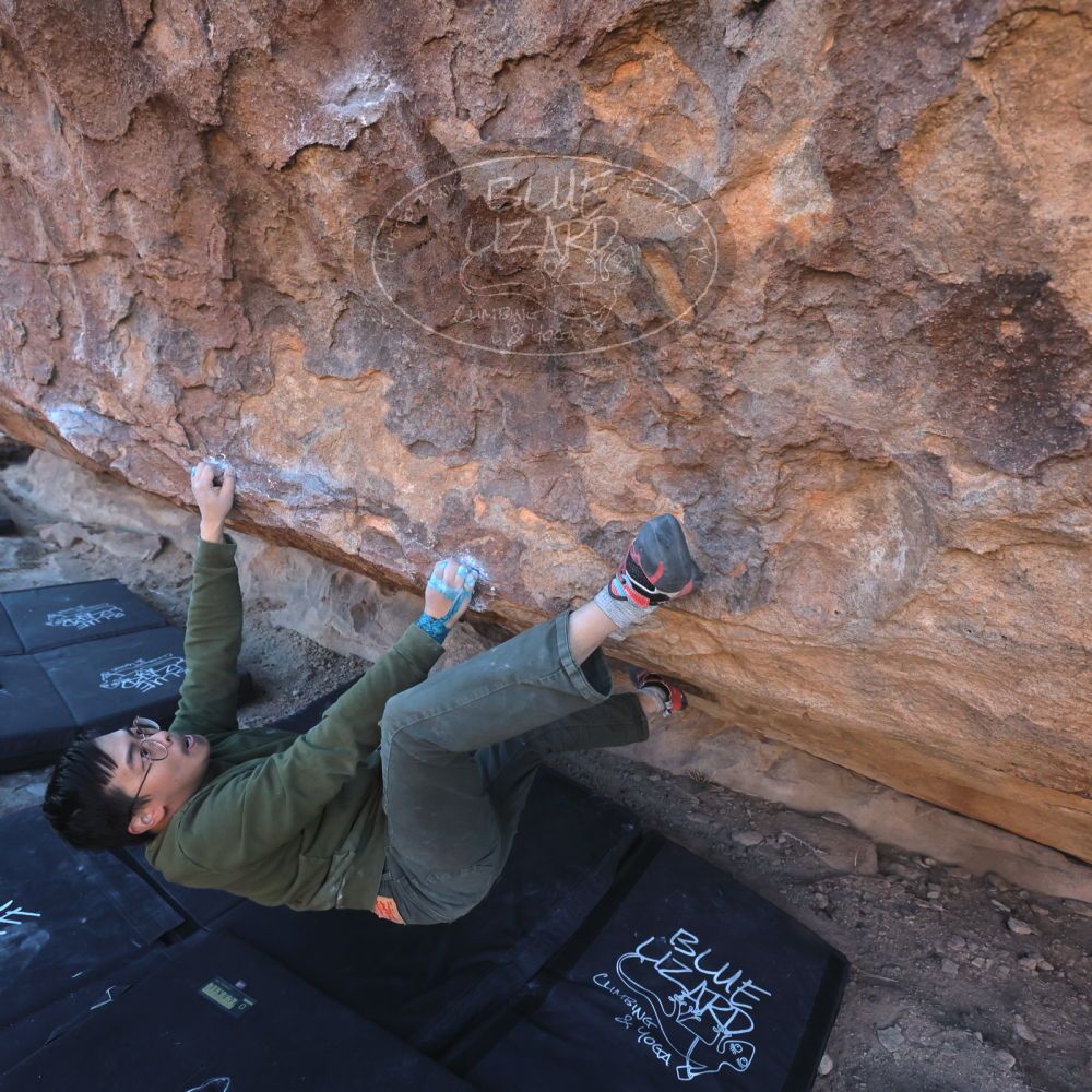 

Filename: SRM_20250222_1654410.jpg
Aperture: f/5.6
Shutter Speed: 1/400
Body: Canon EOS R6
Lens: Canon EF 16-35mm f/2.8 L