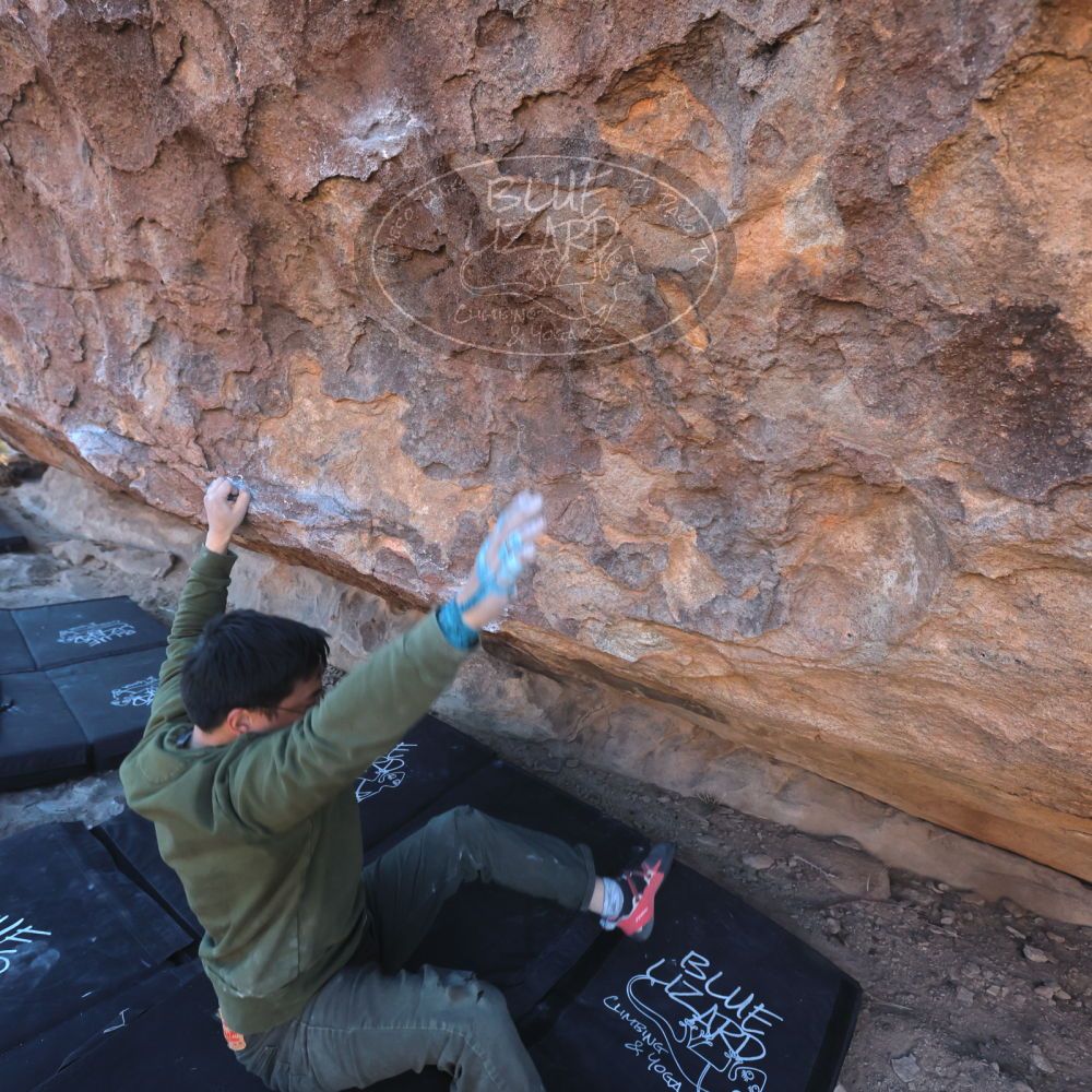 

Filename: SRM_20250222_1654420.jpg
Aperture: f/5.6
Shutter Speed: 1/400
Body: Canon EOS R6
Lens: Canon EF 16-35mm f/2.8 L