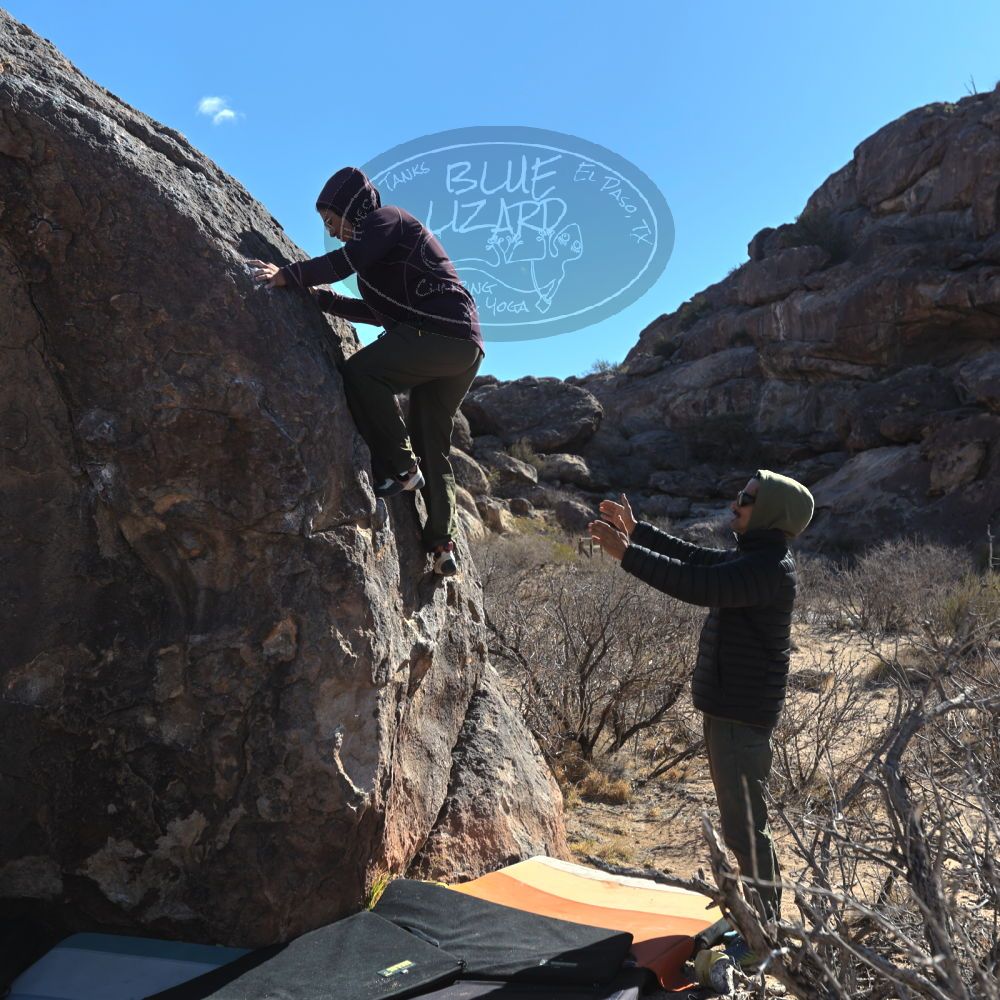 Filename: SRM_20250308_0924030.jpg
Aperture: f/5.0
Shutter Speed: 1/400
Body: Canon EOS R6
Lens: Canon EF 16-35mm f/2.8 L