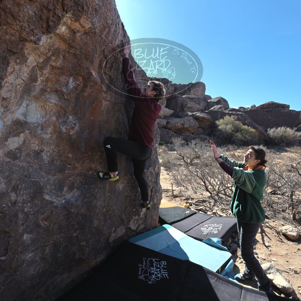 

Filename: SRM_20250308_0931280.jpg
Aperture: f/5.0
Shutter Speed: 1/400
Body: Canon EOS R6
Lens: Canon EF 16-35mm f/2.8 L