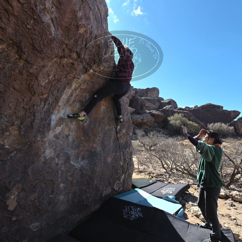 Filename: SRM_20250308_0931470.jpg
Aperture: f/5.0
Shutter Speed: 1/400
Body: Canon EOS R6
Lens: Canon EF 16-35mm f/2.8 L