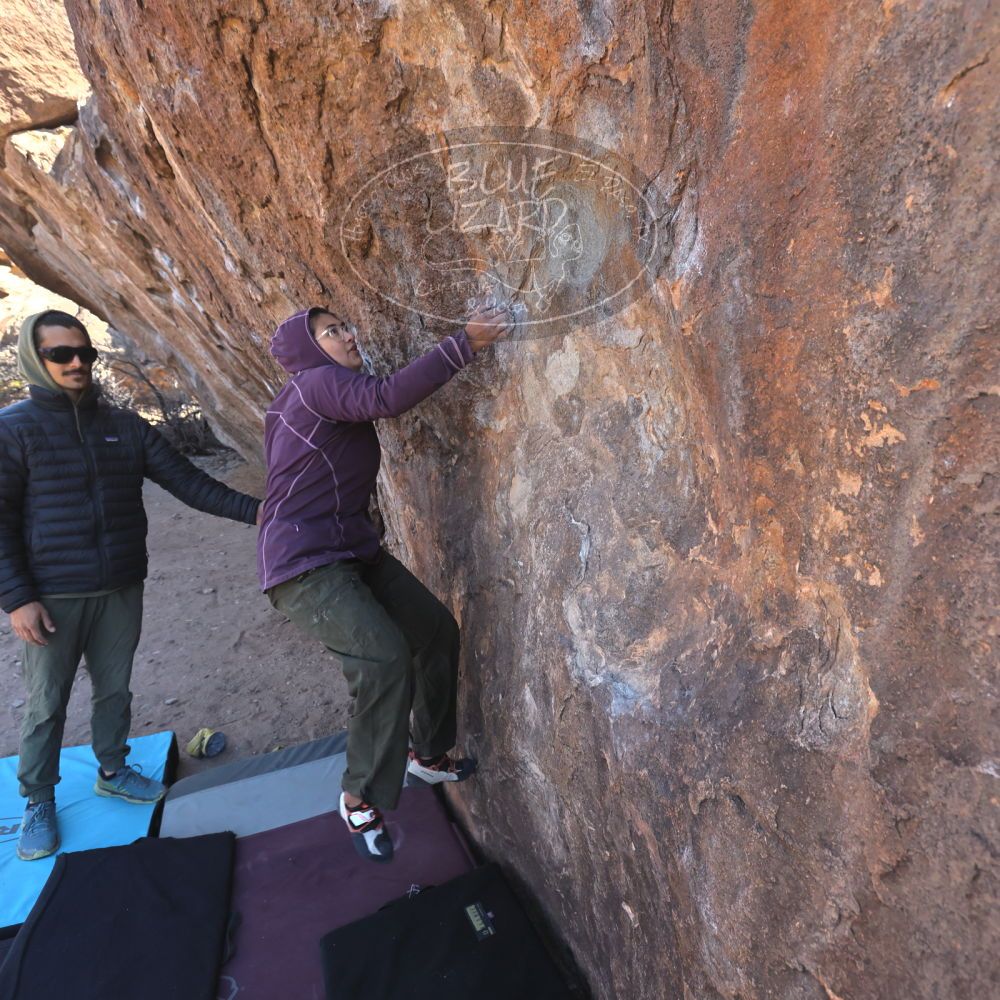 

Filename: SRM_20250308_0940070.jpg
Aperture: f/5.6
Shutter Speed: 1/400
Body: Canon EOS R6
Lens: Canon EF 16-35mm f/2.8 L