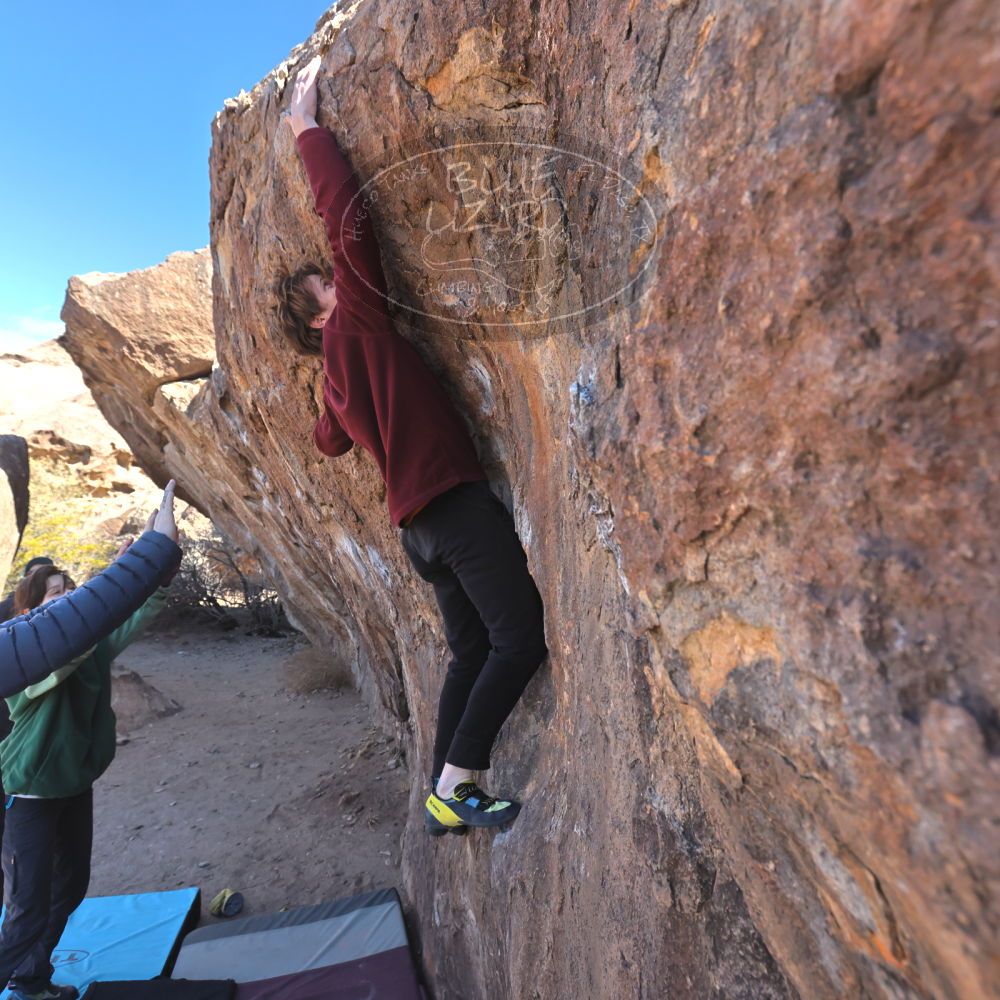 

Filename: SRM_20250308_0942130.jpg
Aperture: f/5.6
Shutter Speed: 1/400
Body: Canon EOS R6
Lens: Canon EF 16-35mm f/2.8 L