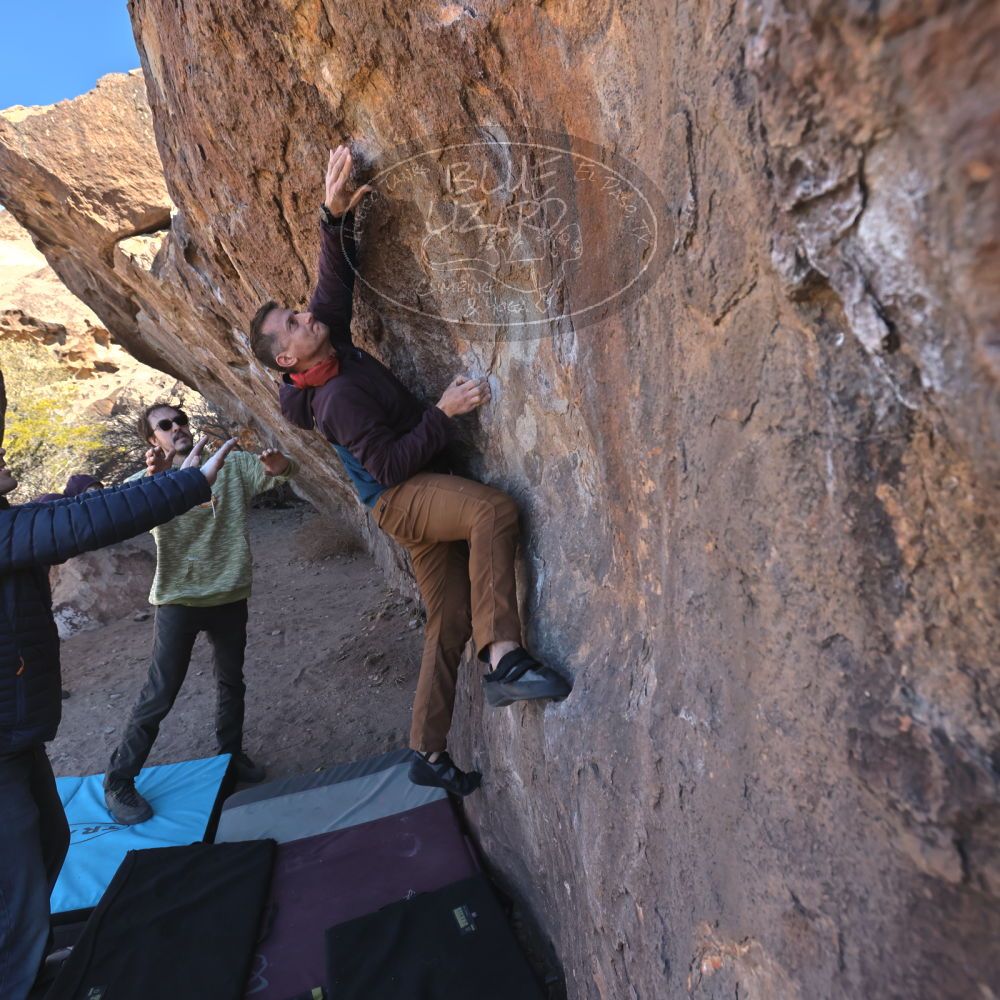 Filename: SRM_20250308_0943380.jpg
Aperture: f/5.6
Shutter Speed: 1/400
Body: Canon EOS R6
Lens: Canon EF 16-35mm f/2.8 L