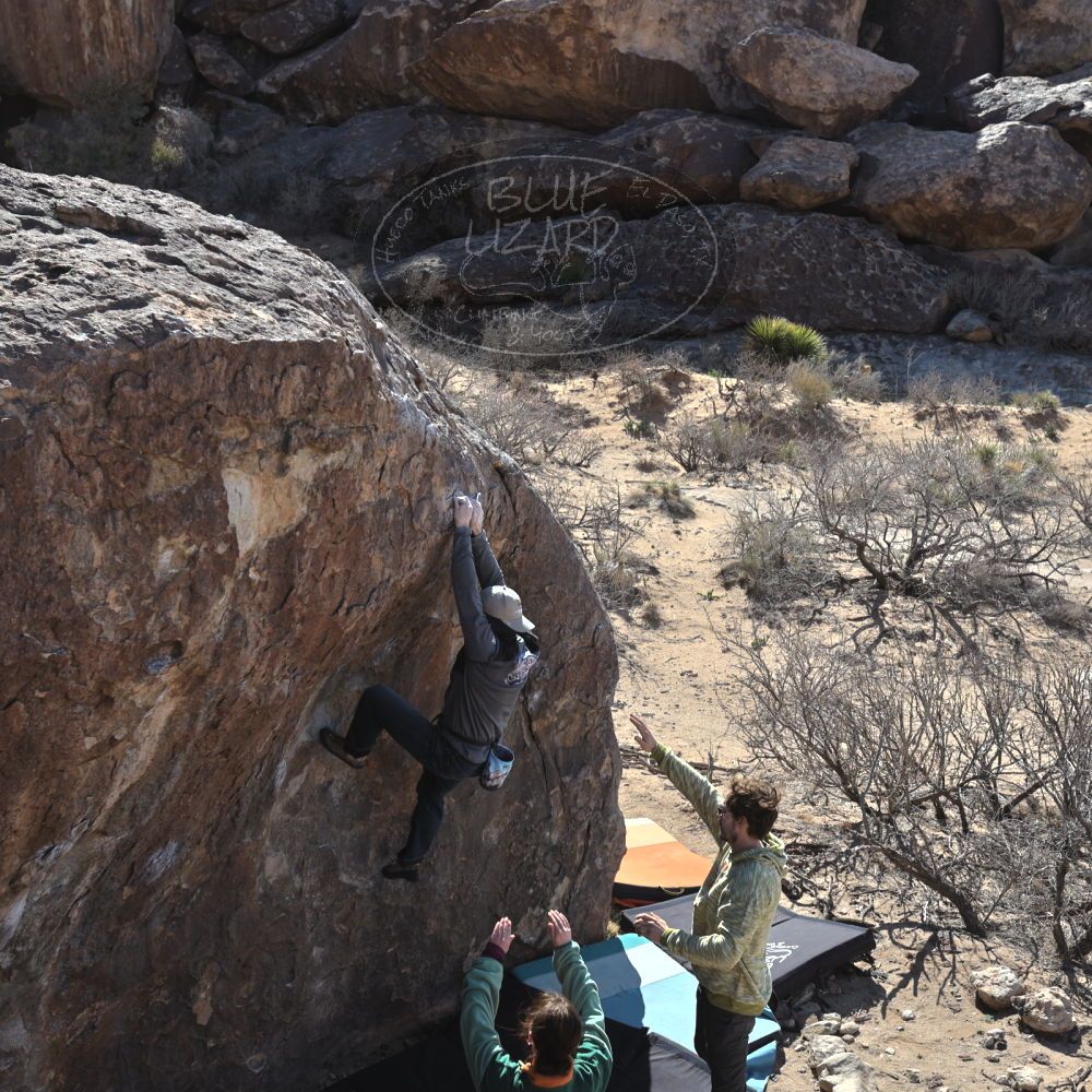 

Filename: SRM_20250308_0950371.jpg
Aperture: f/5.6
Shutter Speed: 1/400
Body: Canon EOS R6
Lens: Canon EF 16-35mm f/2.8 L