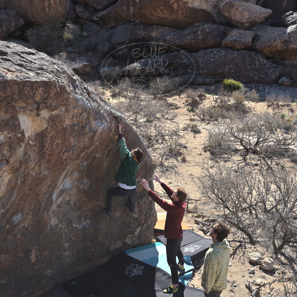 

Filename: SRM_20250308_0951500.jpg
Aperture: f/5.6
Shutter Speed: 1/400
Body: Canon EOS R6
Lens: Canon EF 16-35mm f/2.8 L