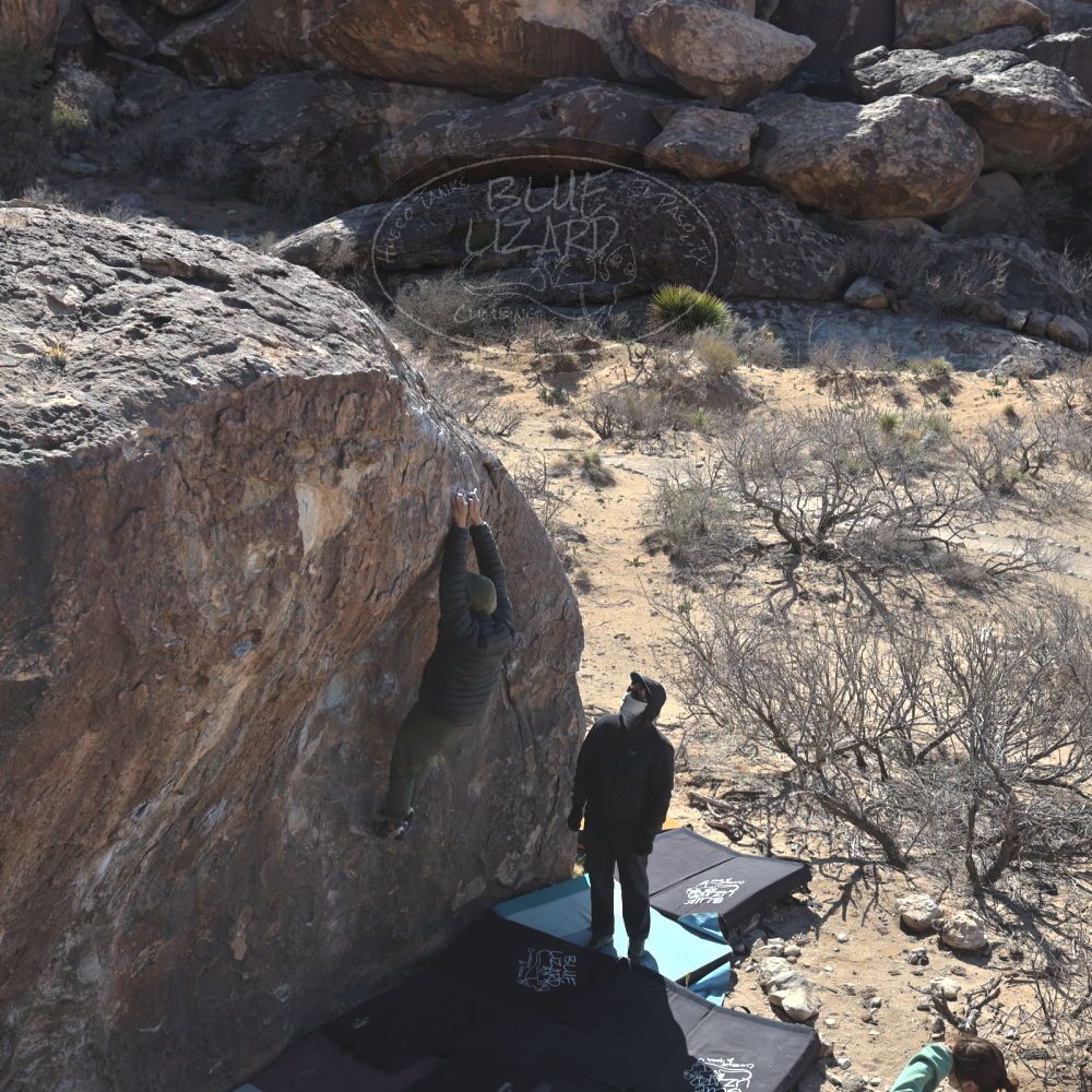 Filename: SRM_20250308_0956030.jpg
Aperture: f/5.6
Shutter Speed: 1/400
Body: Canon EOS R6
Lens: Canon EF 16-35mm f/2.8 L