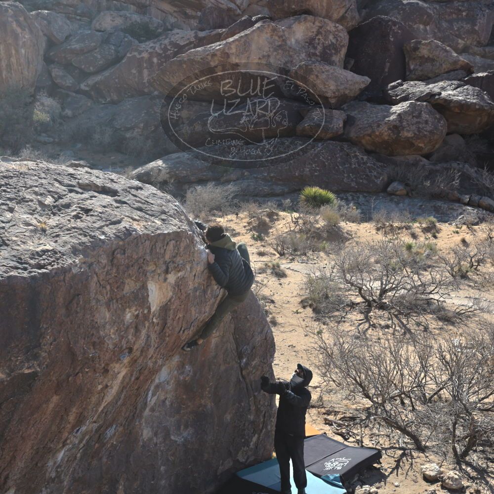 Filename: SRM_20250308_0956120.jpg
Aperture: f/5.6
Shutter Speed: 1/400
Body: Canon EOS R6
Lens: Canon EF 16-35mm f/2.8 L