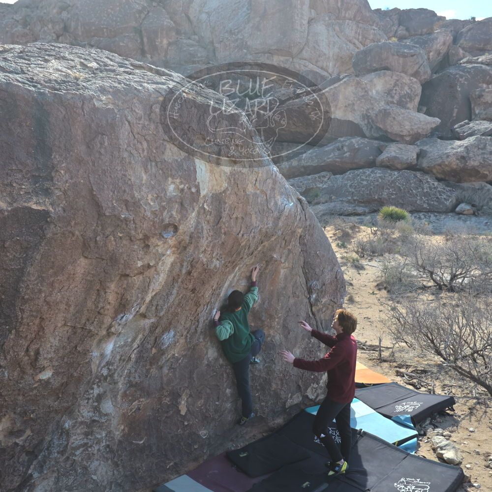 

Filename: SRM_20250308_1000580.jpg
Aperture: f/5.6
Shutter Speed: 1/400
Body: Canon EOS R6
Lens: Canon EF 16-35mm f/2.8 L