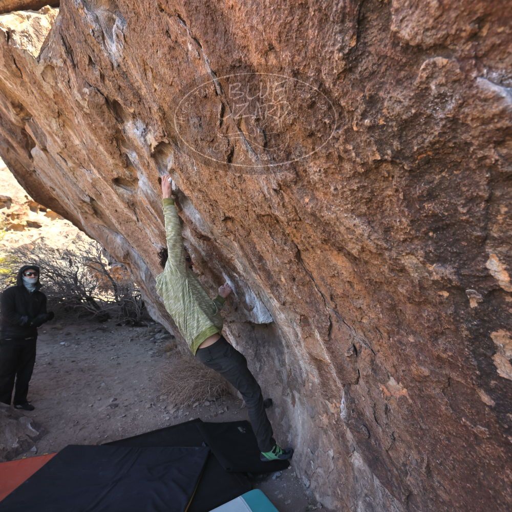 Filename: SRM_20250308_1008500.jpg
Aperture: f/5.6
Shutter Speed: 1/400
Body: Canon EOS R6
Lens: Canon EF 16-35mm f/2.8 L