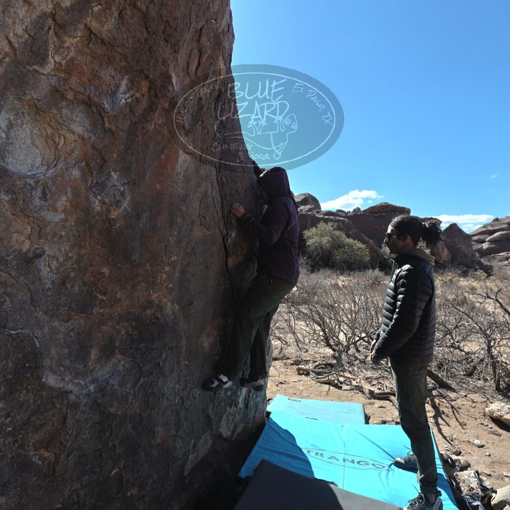 

Filename: SRM_20250308_1011380.jpg
Aperture: f/5.6
Shutter Speed: 1/400
Body: Canon EOS R6
Lens: Canon EF 16-35mm f/2.8 L