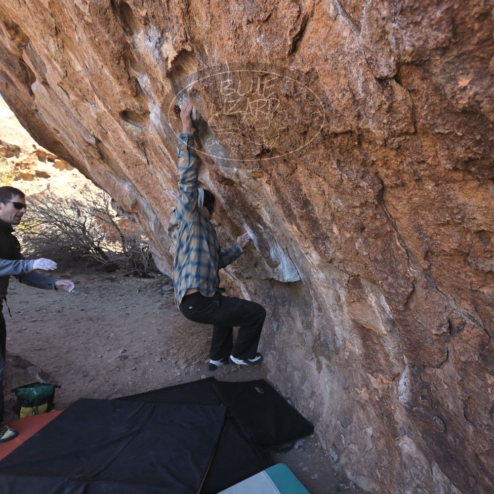 

Filename: SRM_20250308_1015150.jpg
Aperture: f/5.6
Shutter Speed: 1/400
Body: Canon EOS R6
Lens: Canon EF 16-35mm f/2.8 L