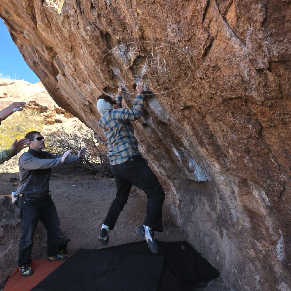 

Filename: SRM_20250308_1015190.jpg
Aperture: f/5.6
Shutter Speed: 1/400
Body: Canon EOS R6
Lens: Canon EF 16-35mm f/2.8 L