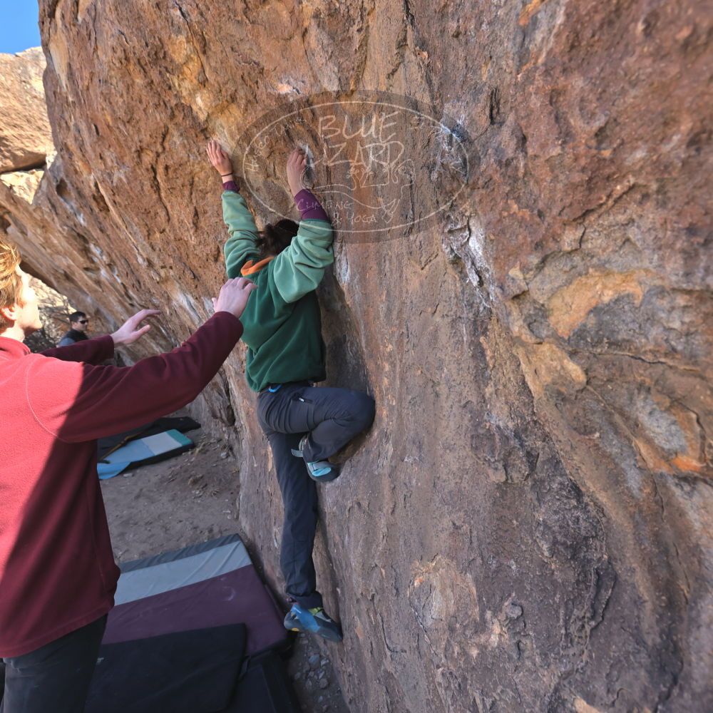 

Filename: SRM_20250308_1016330.jpg
Aperture: f/5.6
Shutter Speed: 1/400
Body: Canon EOS R6
Lens: Canon EF 16-35mm f/2.8 L