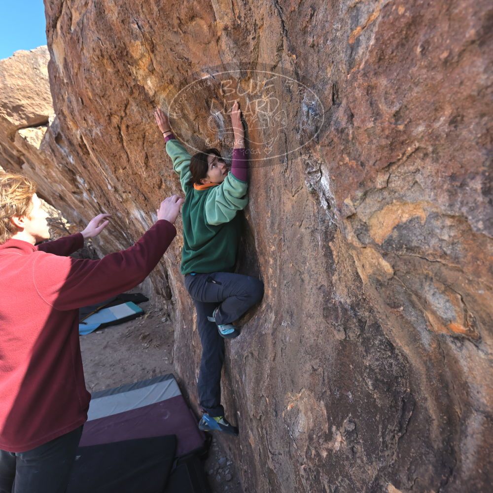 Filename: SRM_20250308_1016350.jpg
Aperture: f/5.6
Shutter Speed: 1/400
Body: Canon EOS R6
Lens: Canon EF 16-35mm f/2.8 L