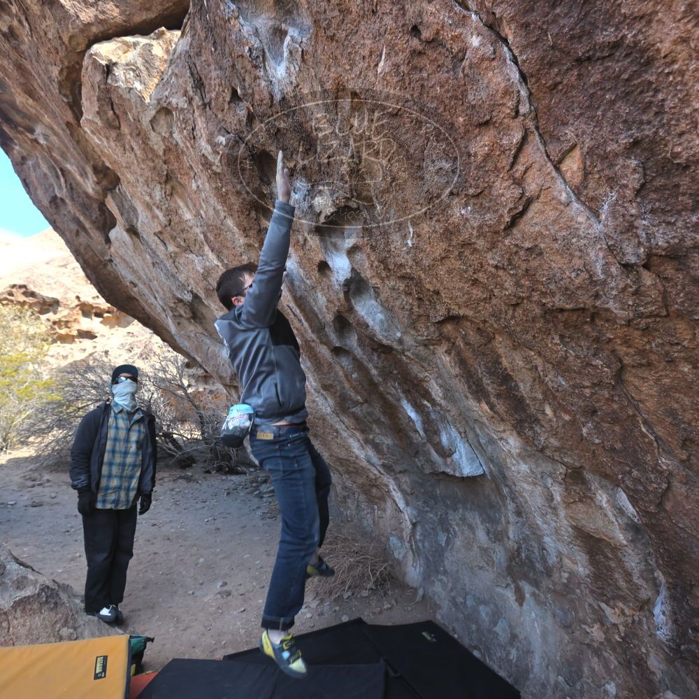 Filename: SRM_20250308_1018080.jpg
Aperture: f/5.6
Shutter Speed: 1/400
Body: Canon EOS R6
Lens: Canon EF 16-35mm f/2.8 L