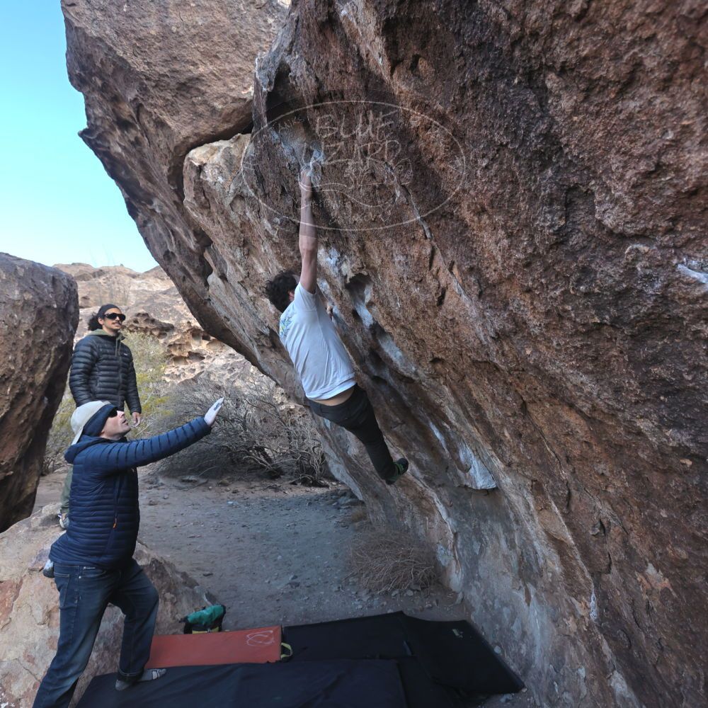 

Filename: SRM_20250308_1027510.jpg
Aperture: f/5.6
Shutter Speed: 1/400
Body: Canon EOS R6
Lens: Canon EF 16-35mm f/2.8 L