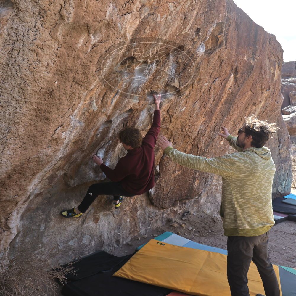 Filename: SRM_20250308_1033120.jpg
Aperture: f/5.6
Shutter Speed: 1/400
Body: Canon EOS R6
Lens: Canon EF 16-35mm f/2.8 L