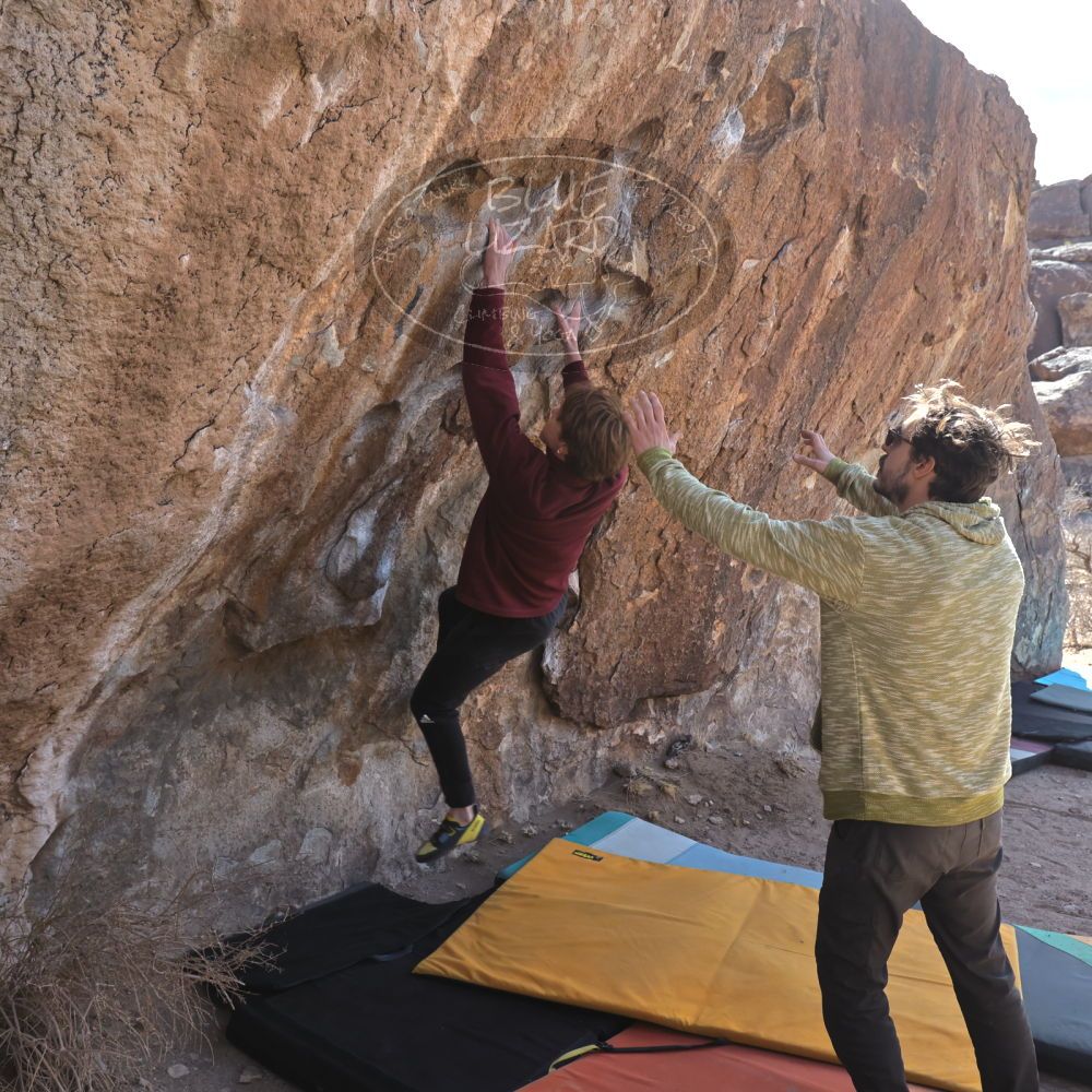 Filename: SRM_20250308_1033140.jpg
Aperture: f/5.6
Shutter Speed: 1/400
Body: Canon EOS R6
Lens: Canon EF 16-35mm f/2.8 L