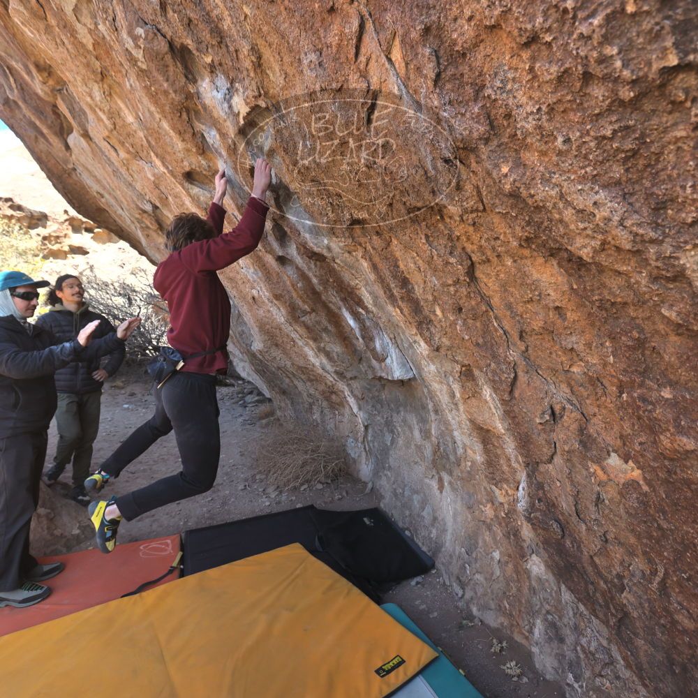 

Filename: SRM_20250308_1037570.jpg
Aperture: f/5.6
Shutter Speed: 1/400
Body: Canon EOS R6
Lens: Canon EF 16-35mm f/2.8 L