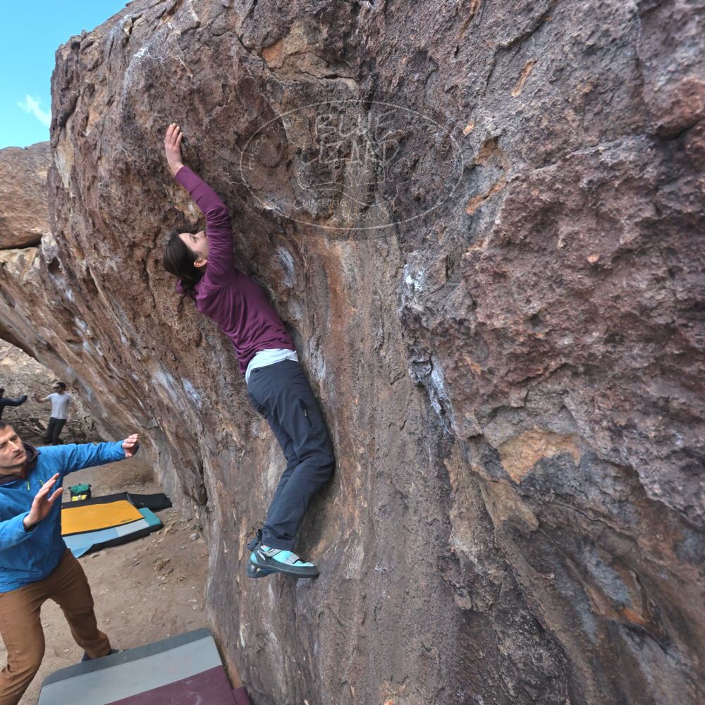 

Filename: SRM_20250308_1052221.jpg
Aperture: f/8.0
Shutter Speed: 1/400
Body: Canon EOS R6
Lens: Canon EF 16-35mm f/2.8 L