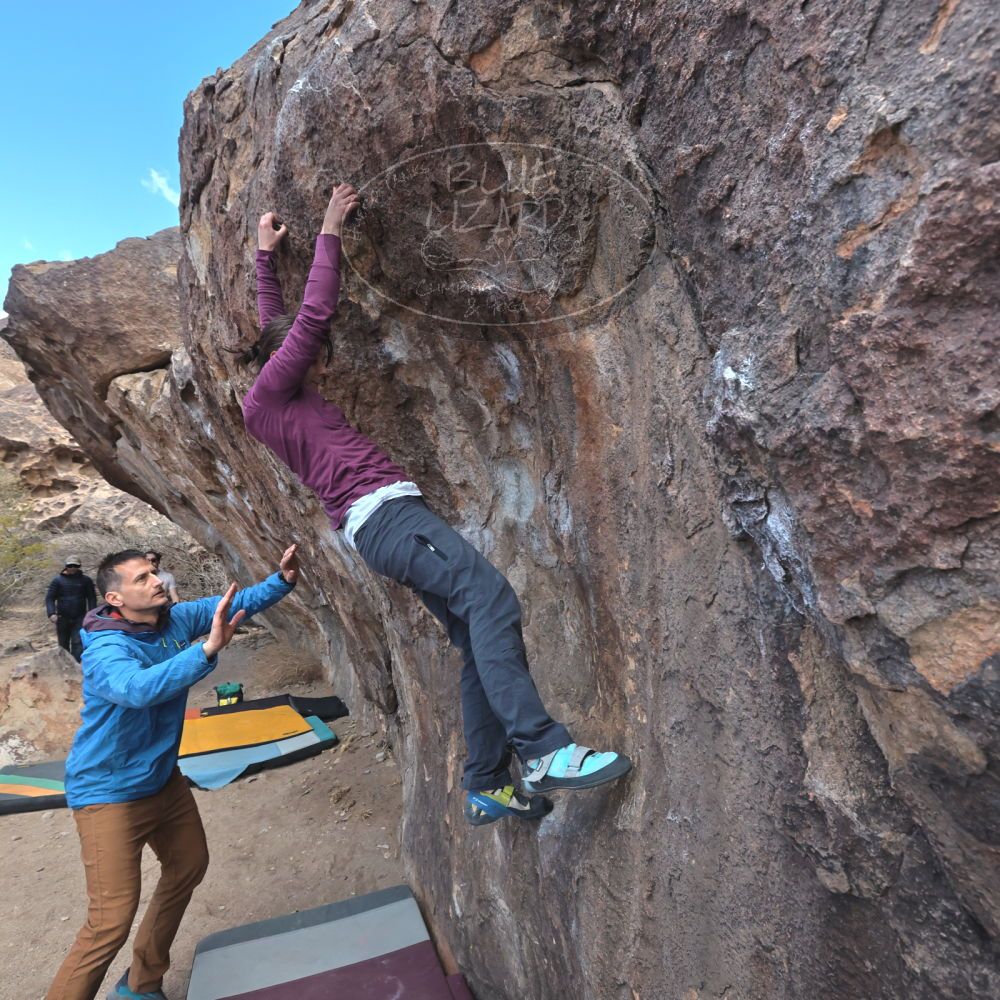 Filename: SRM_20250308_1052260.jpg
Aperture: f/8.0
Shutter Speed: 1/400
Body: Canon EOS R6
Lens: Canon EF 16-35mm f/2.8 L