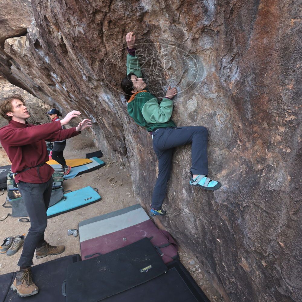 Filename: SRM_20250308_1110260.jpg
Aperture: f/8.0
Shutter Speed: 1/400
Body: Canon EOS R6
Lens: Canon EF 16-35mm f/2.8 L