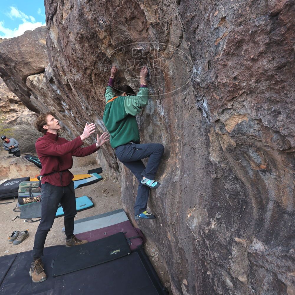 Filename: SRM_20250308_1111130.jpg
Aperture: f/8.0
Shutter Speed: 1/400
Body: Canon EOS R6
Lens: Canon EF 16-35mm f/2.8 L