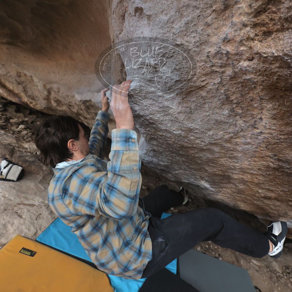 Filename: SRM_20250308_1146030.jpg
Aperture: f/8.0
Shutter Speed: 1/400
Body: Canon EOS R6
Lens: Canon EF 16-35mm f/2.8 L