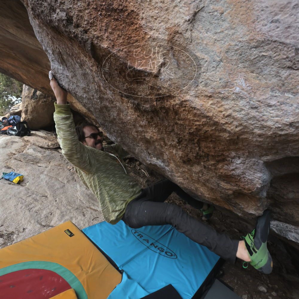 Filename: SRM_20250308_1146560.jpg
Aperture: f/8.0
Shutter Speed: 1/400
Body: Canon EOS R6
Lens: Canon EF 16-35mm f/2.8 L