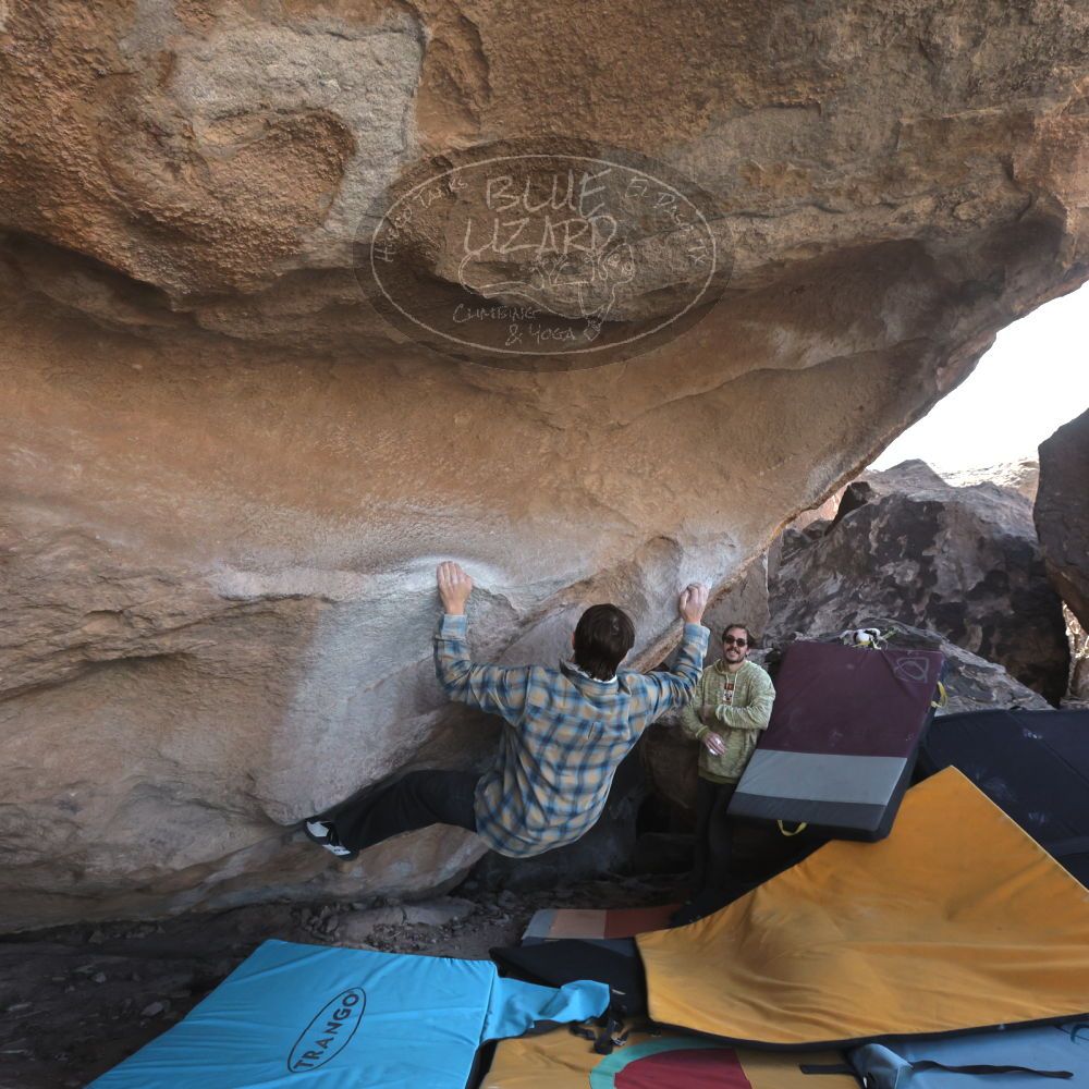 Filename: SRM_20250308_1213590.jpg
Aperture: f/8.0
Shutter Speed: 1/400
Body: Canon EOS R6
Lens: Canon EF 16-35mm f/2.8 L