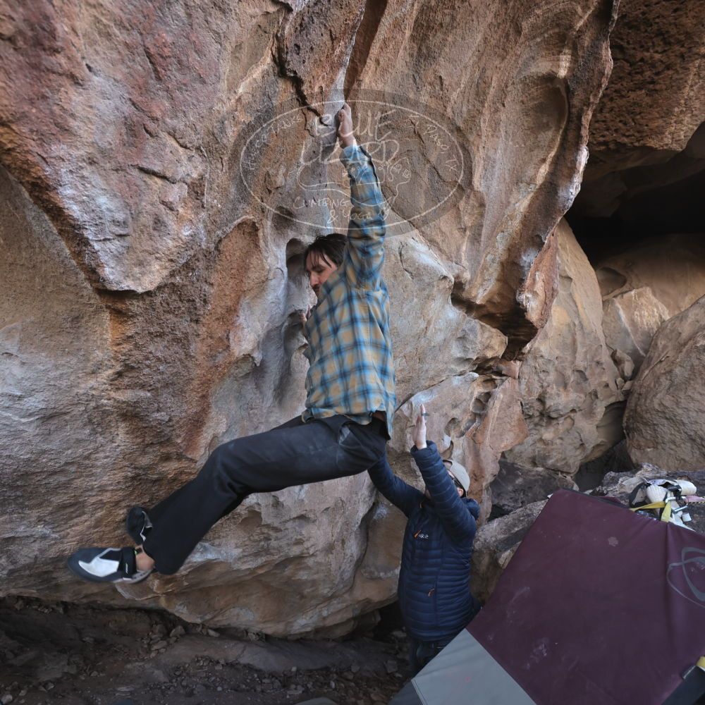 Filename: SRM_20250308_1219451.jpg
Aperture: f/5.0
Shutter Speed: 1/400
Body: Canon EOS R6
Lens: Canon EF 16-35mm f/2.8 L