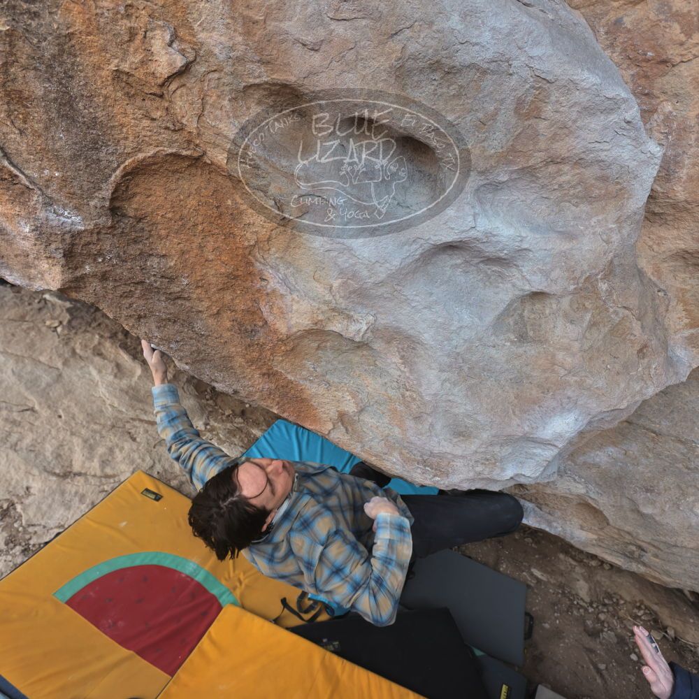 Filename: SRM_20250308_1232210.jpg
Aperture: f/5.0
Shutter Speed: 1/400
Body: Canon EOS R6
Lens: Canon EF 16-35mm f/2.8 L