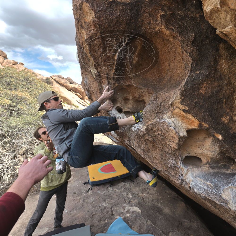 Filename: SRM_20250308_1343150.jpg
Aperture: f/5.0
Shutter Speed: 1/400
Body: Canon EOS R6
Lens: Canon EF 16-35mm f/2.8 L